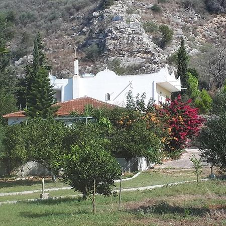 Villa Dunes 350M From The Sandy Beach Kalogria  Buitenkant foto