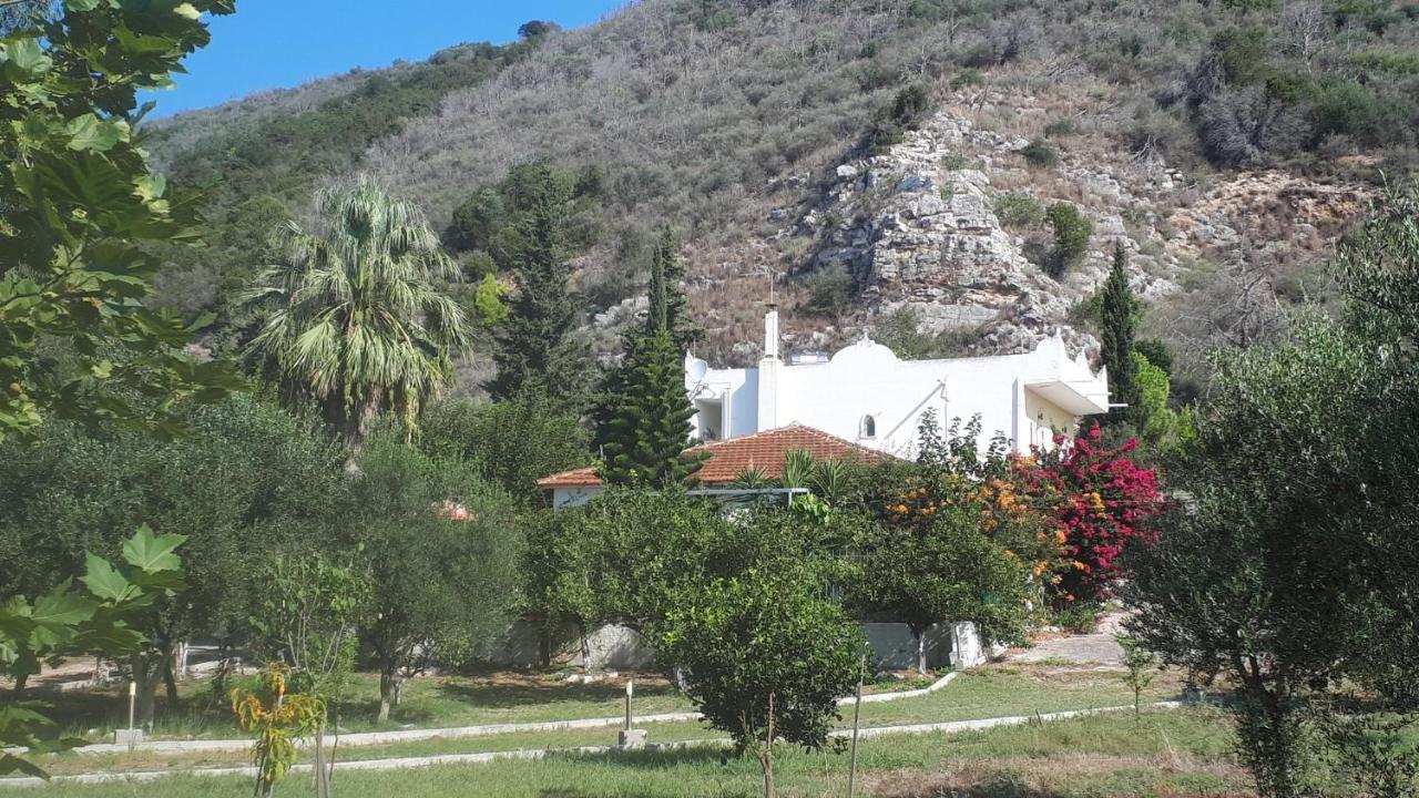 Villa Dunes 350M From The Sandy Beach Kalogria  Buitenkant foto