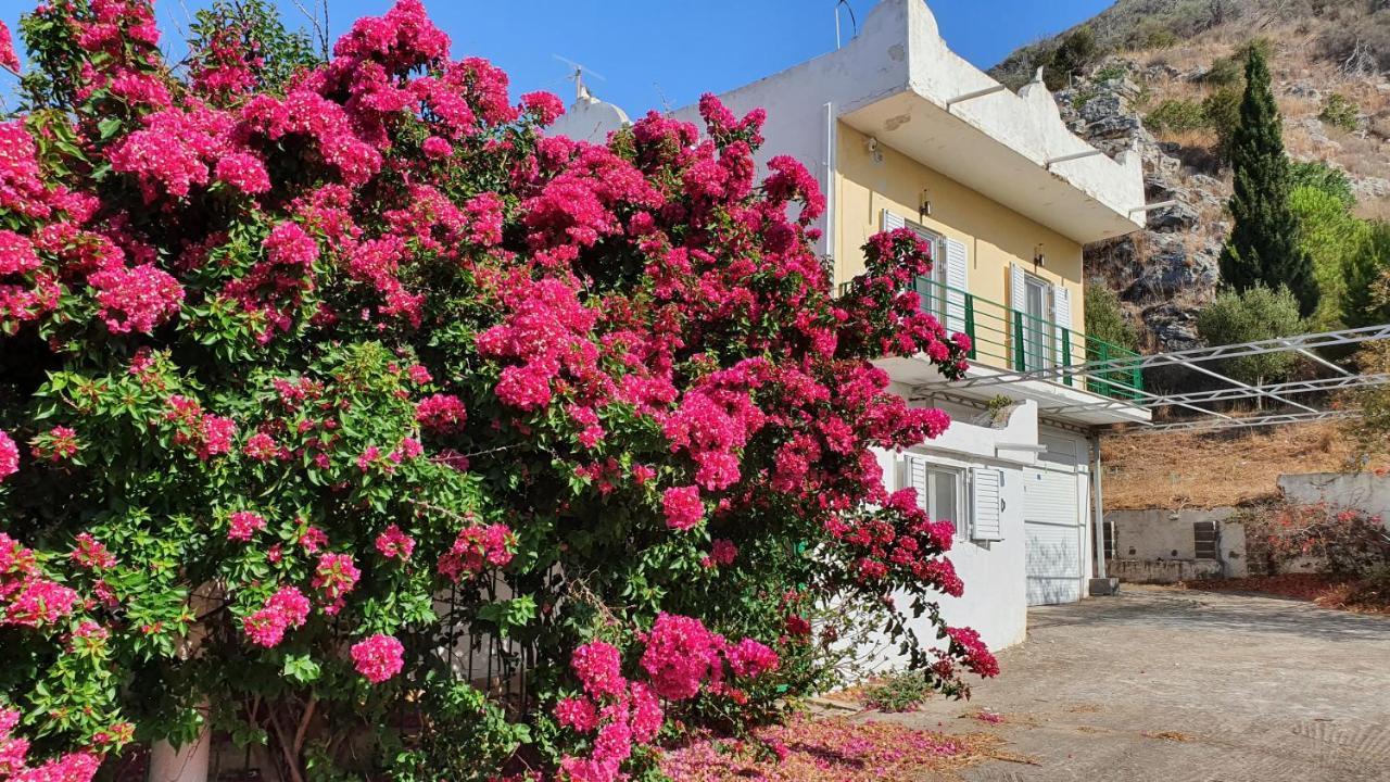 Villa Dunes 350M From The Sandy Beach Kalogria  Buitenkant foto
