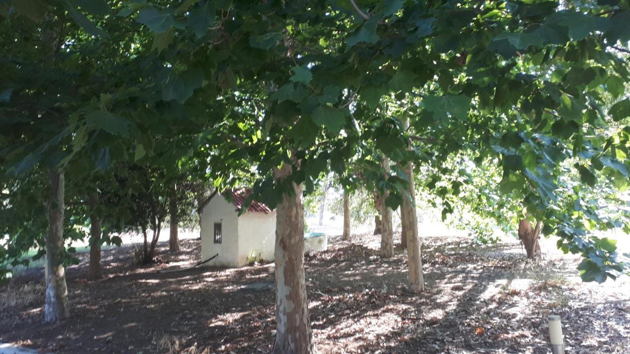 Villa Dunes 350M From The Sandy Beach Kalogria  Buitenkant foto