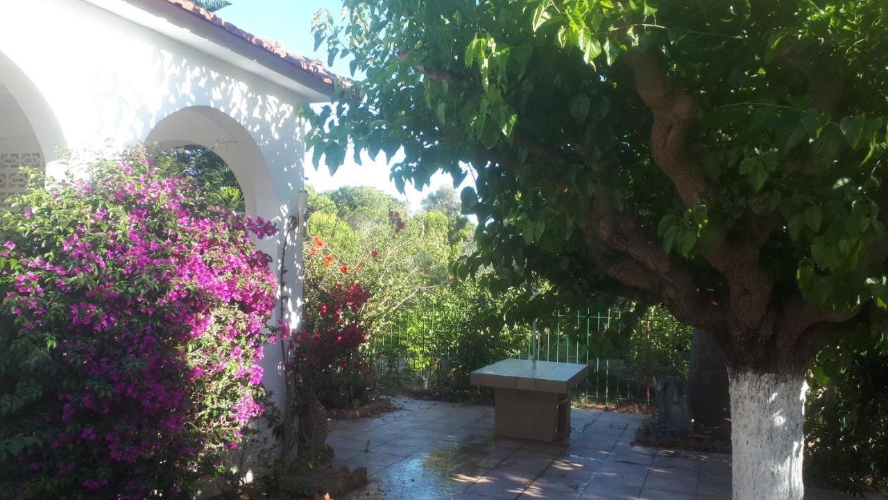 Villa Dunes 350M From The Sandy Beach Kalogria  Buitenkant foto
