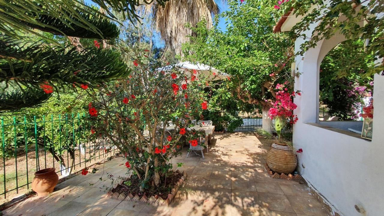 Villa Dunes 350M From The Sandy Beach Kalogria  Buitenkant foto
