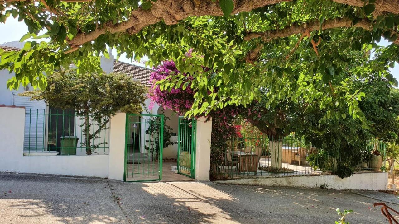 Villa Dunes 350M From The Sandy Beach Kalogria  Buitenkant foto